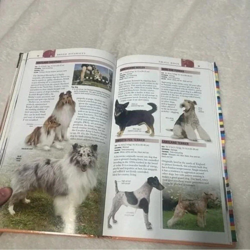 Eyewitness Companions Dogs Breeds Training Healthcare Behavior Training Book